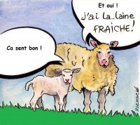 /album/galerie-de-photos-brezh-mouetton-armoricain/brebie-2012campa-jpg/